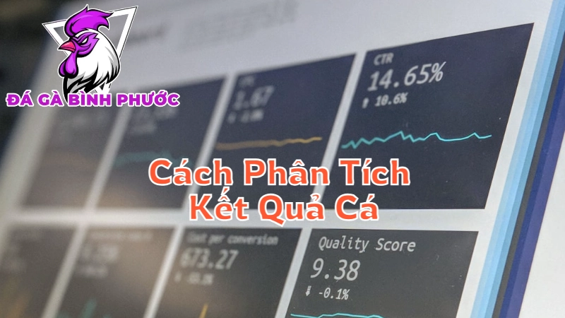 Cách Phân Tích Kết Quả Cá Cược Sau Trận Đấu