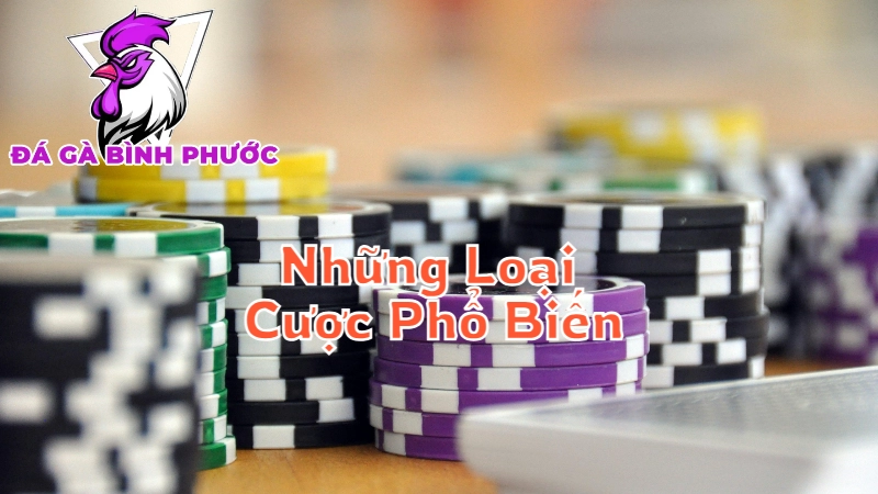 Những Loại Cược Phổ Biến Tại Bình Phước