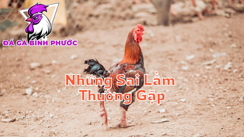 Những Sai Lầm Thường Gặp Khi Cá Cược Đá Gà