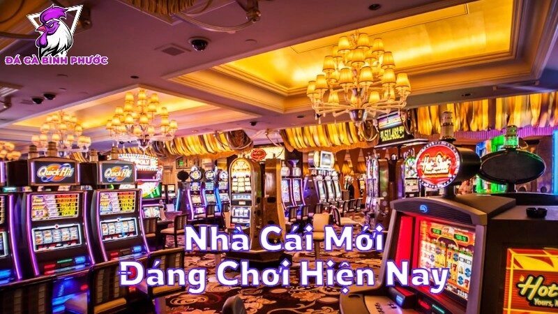 Danh Sách Nhà Cái Mới Đáng Chơi Hiện Nay