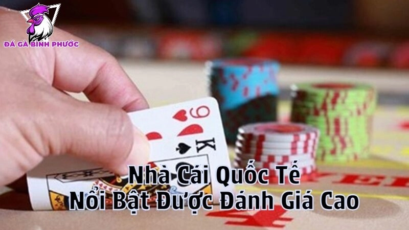 Nhà Cái Quốc Tế Nổi Bật Được Đánh Giá Cao